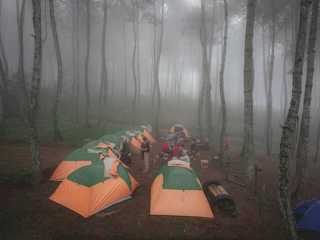 Tempat Camping di Ciwidey Bumi Perkemahan Baru Karet Barcamp ground 